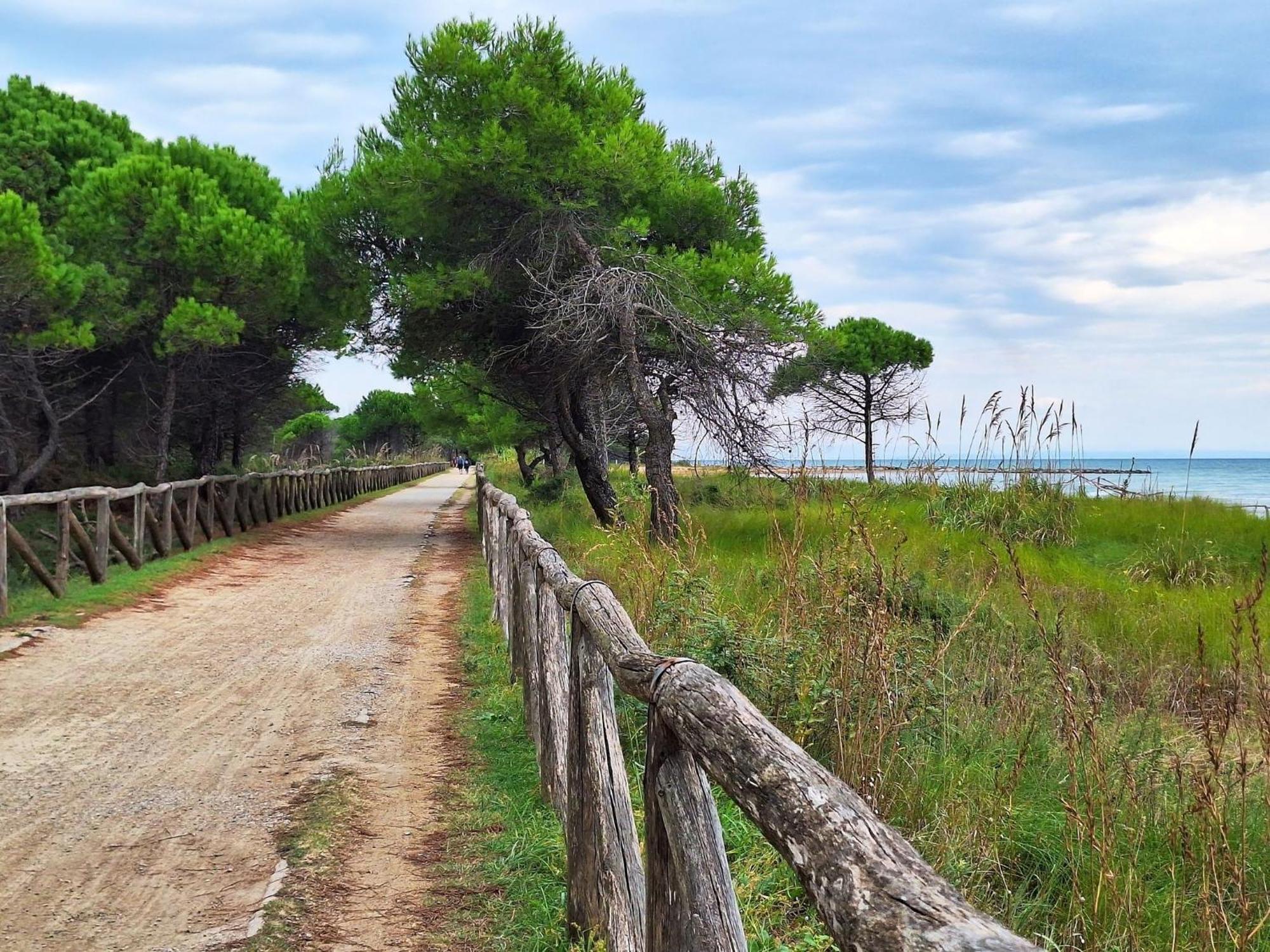 Beautiful Apartment Close To Bibione Beach - Beahost Εξωτερικό φωτογραφία