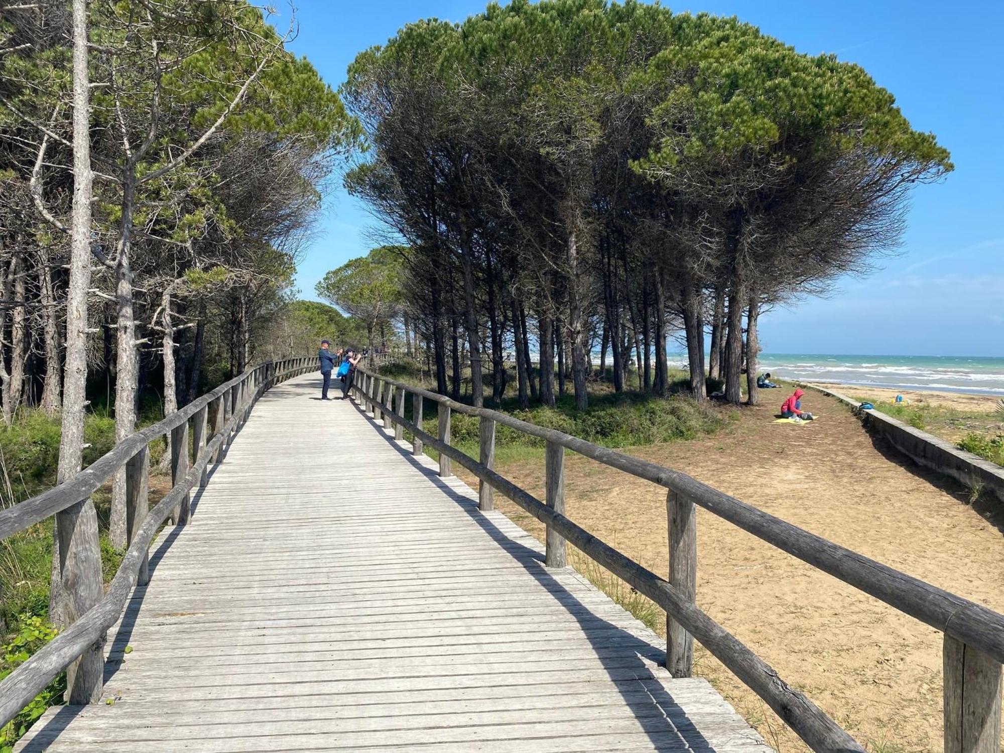 Beautiful Apartment Close To Bibione Beach - Beahost Εξωτερικό φωτογραφία